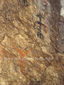 Pinturas Rupestres en los cerros de la región de los Estados de Ags-Zac.(C) JJEO. DÍ NO A LA POSADERÍA (Plagio Posada).