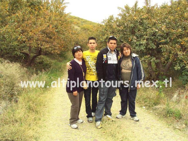 Visita a una Huerta de Guayabas en la Sierra Fría de Calvillo, Ags.(C) Altiplano Tours Ags. DÍ NO A LA POSADERÍA. (Plagio Posada).