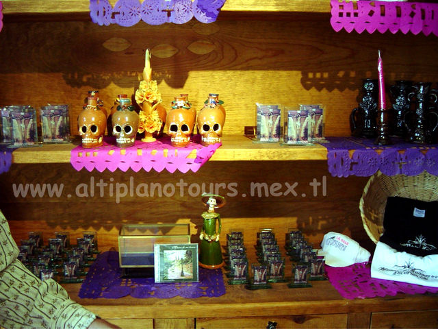 Aspectos profano-religiosos del Cementerio de Encarnación de Díaz, Jal. (C) JJEO. DÍ NO A LA POSADERÍA (Plagio Posada).